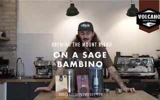 How to Brew on a Sage Bambino