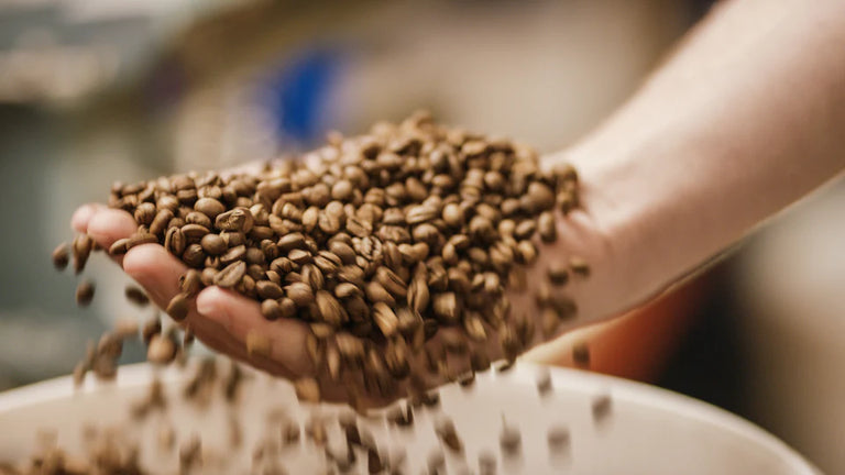 Grinding coffee