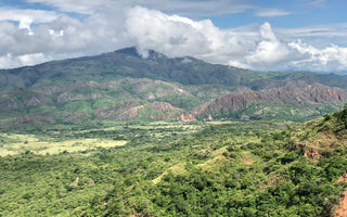 We're cutting back on plastic