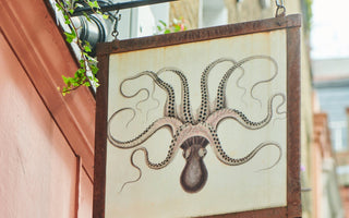 Volcano Hot Spots: Polpo