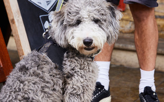 5 places to take dad this Father’s Day