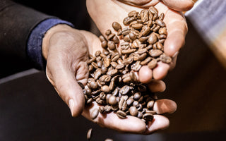2020 Coffee Report