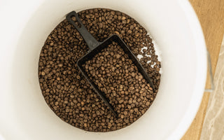 Watch: 'Passion First: Volcano Coffee Works'