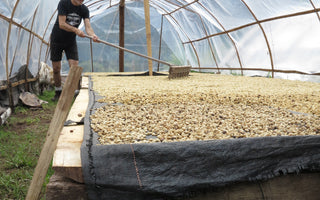 Drink a CarbonNeutral® Drink to celebrate Volcano turning 10