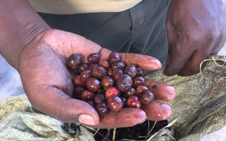 How do people drink coffee in Ethiopia?