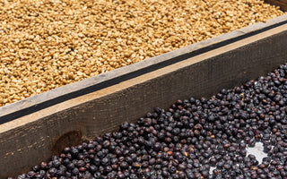 Huehuetenango - December's Roaster's Choice Subscription Coffee