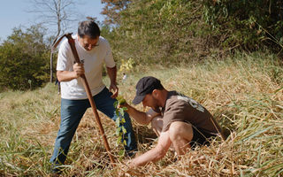 The Sombra Project: An Update