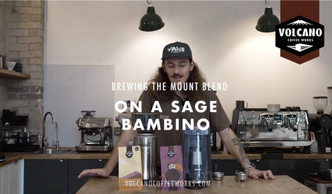 How to Brew on a Sage Bambino