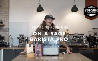 How to Brew on a Sage Barista Pro