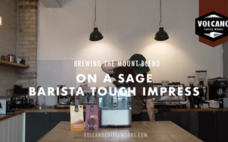 How to Brew on a Sage Dual Boiler