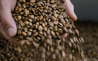 Be the first to taste this Peruvian coffee