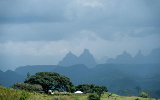 Drink Shantawene, February's Roasters Choice Subscription Coffee