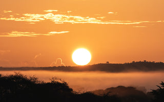 Drink Wahundura, December's Roasters Choice Subscription Coffee