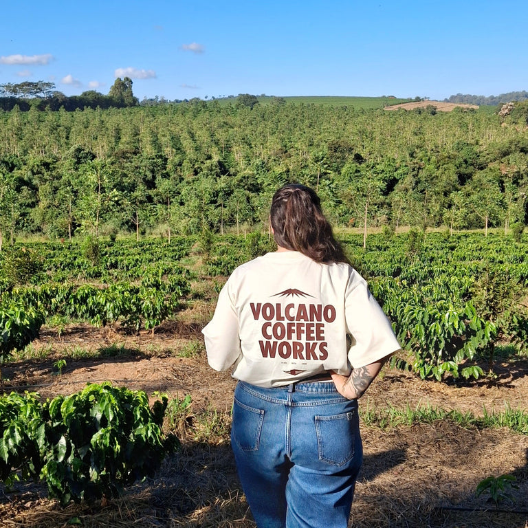 Your chance to experience coffee at its origin