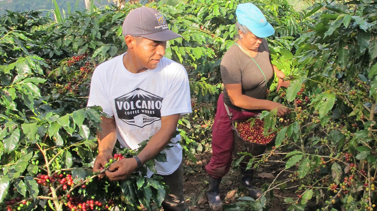 Sustainability That Starts With Impact