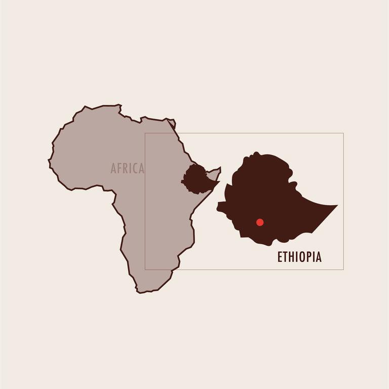 Roaster's Choice Subscription