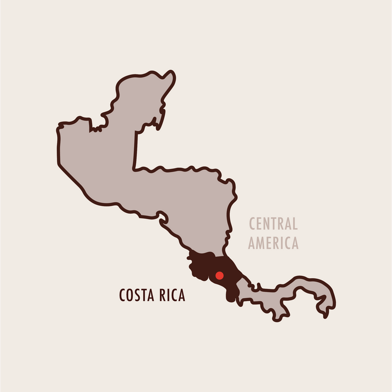 Roaster's Choice Subscription