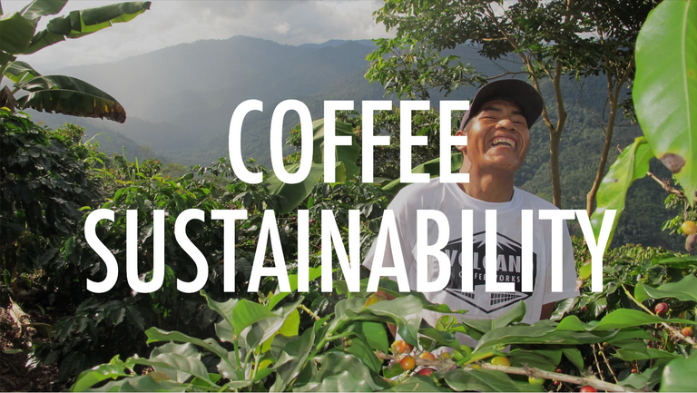 Coffee Sustainability