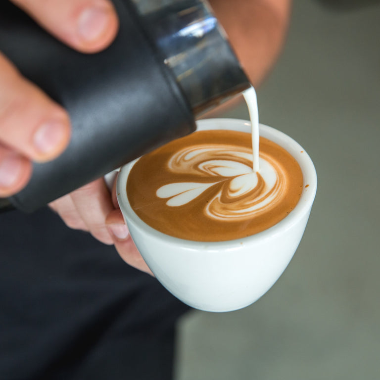 Beginner Latte Art Class