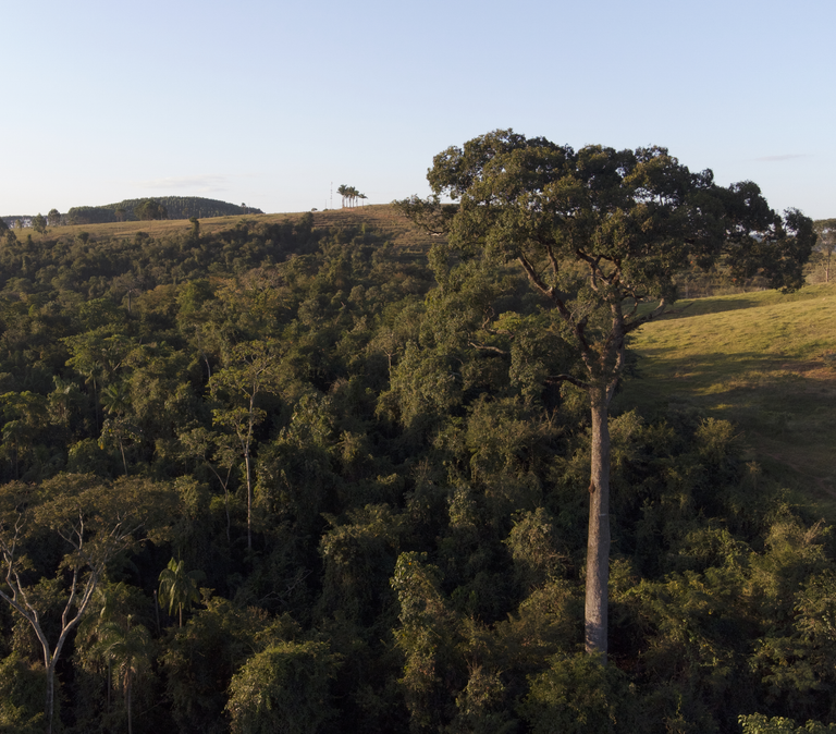 Brazil could lose 11 million hectares of agricultural land by 2030 due to climate change